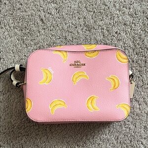 Coach banana mini camera bag